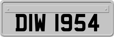 DIW1954
