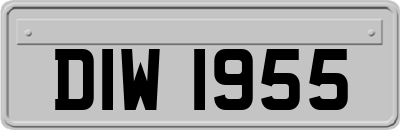 DIW1955