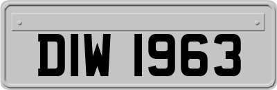 DIW1963