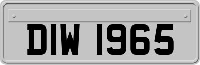 DIW1965