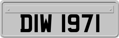 DIW1971