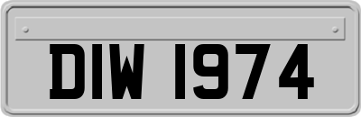 DIW1974