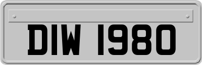 DIW1980