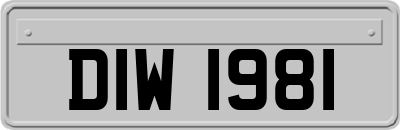 DIW1981