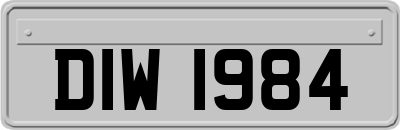 DIW1984