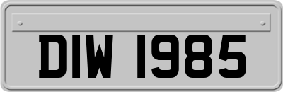 DIW1985