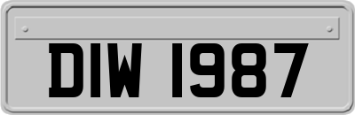 DIW1987