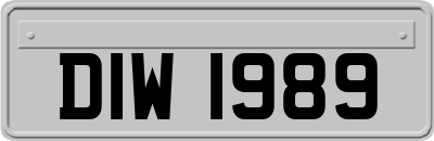 DIW1989