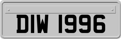 DIW1996