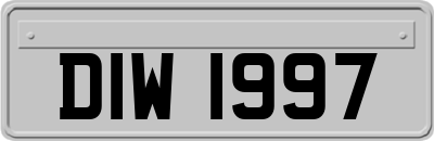 DIW1997