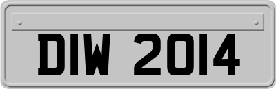 DIW2014