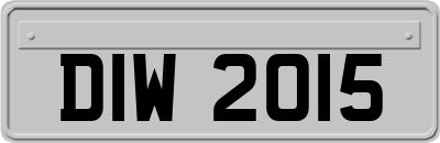 DIW2015