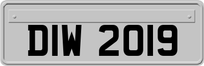 DIW2019