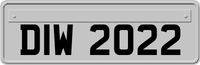 DIW2022
