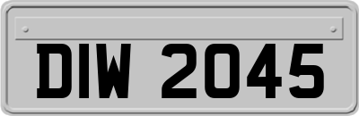 DIW2045