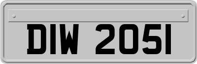DIW2051