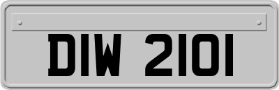 DIW2101