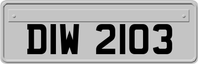 DIW2103