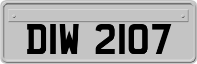 DIW2107