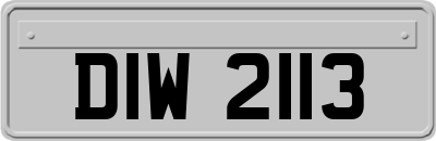 DIW2113