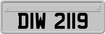 DIW2119