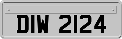 DIW2124