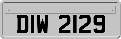 DIW2129