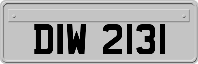DIW2131