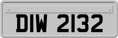 DIW2132