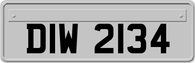 DIW2134