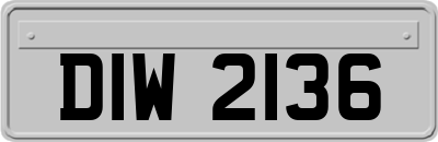 DIW2136