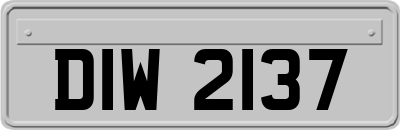 DIW2137