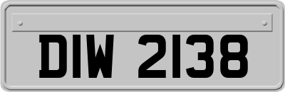 DIW2138