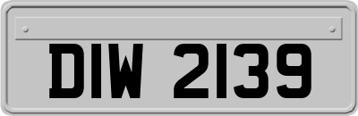 DIW2139