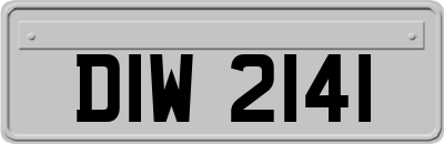 DIW2141