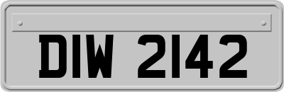 DIW2142