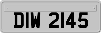 DIW2145