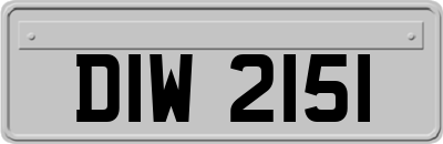 DIW2151