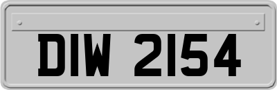 DIW2154