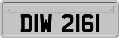 DIW2161