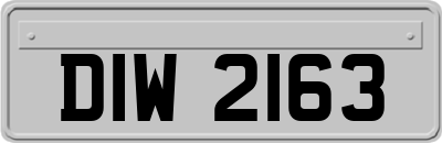 DIW2163