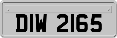 DIW2165