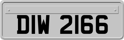 DIW2166