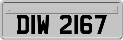 DIW2167