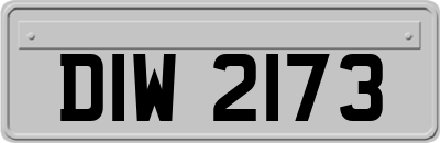 DIW2173