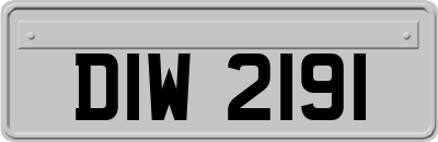 DIW2191