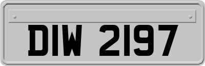 DIW2197
