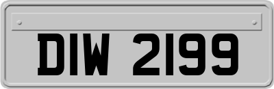 DIW2199