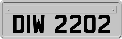 DIW2202
