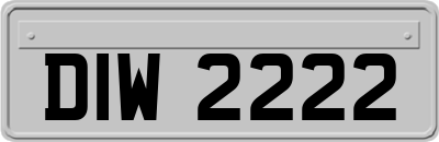DIW2222